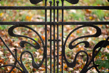 Old decorative wrought iron fence