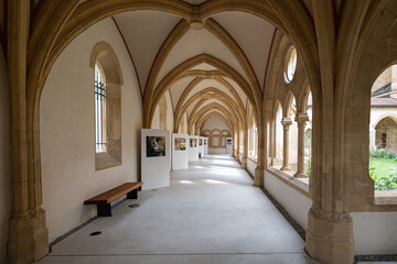Fototapeta premium Wandellaube Kollegiatskirche, Neuenburg
