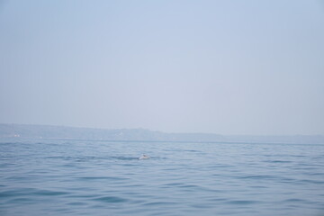 Obraz premium sea and sky