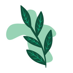 Art Illustration Pattern Seamless symbol icon botanical logo plants of aesthetic flower media social