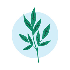 Art Illustration Pattern Seamless symbol icon botanical logo plants of aesthetic flower media social