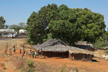 Manguier, Mangifera indica , case village, Madagascar