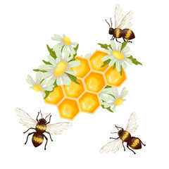 Honeycomb with honey bees and chamomile flowers .Cartoon vector graphic.