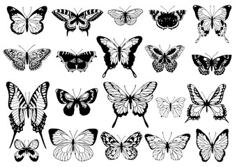 Large collection of sketches of various vintage butterflies.Vector graphics. © Катерина Якубович