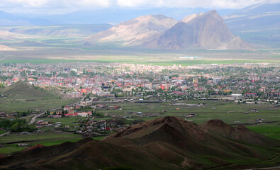 Dogubeyazit - Agri / TURKEY
