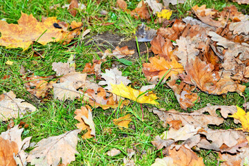construction of a modern metal hangar arched type