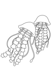 Marine animal jellyfish. The couple swim in isolation. Coloring book, vector children.
