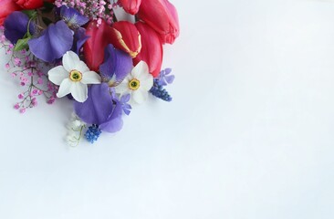 A spring bouquet with lilac irises, red tulips and white daffodils on a white background. Delicate floral arrangement. Background for a greeting card.