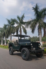 man with mustcahes sitting in vintage car