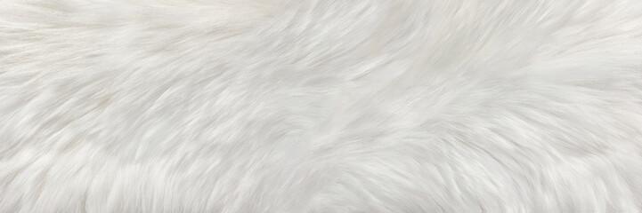 White natural fur with long pile, background