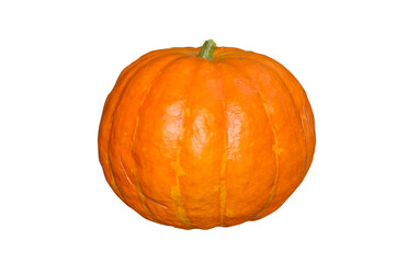 Ripe orange pumpkin isolated