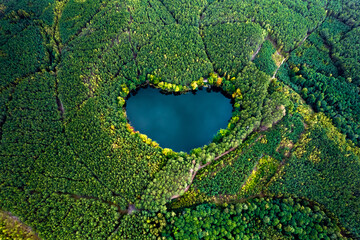 Lake Heart - shaped in the green forest. Bird's eye view of the blue water and treetops in a daylight.