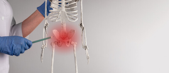 Pelvis, pelvic bone trauma, injury and pain concept on background with copy space
