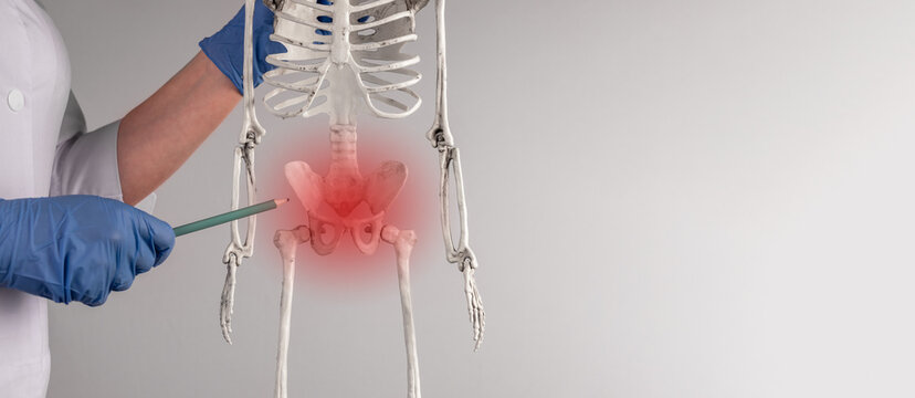 Pelvis, Pelvic Bone Trauma, Injury And Pain Concept On Background With Copy Space