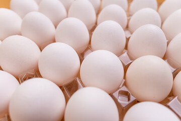 Pack of the white chicken egg