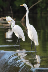 I am ready for my closeup