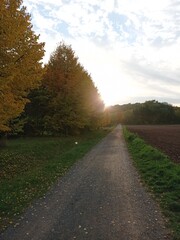 Fototapeta na wymiar Herbst in Nordhausen