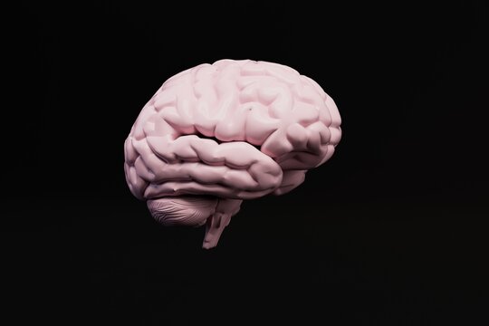 brain on a black background. 3D render