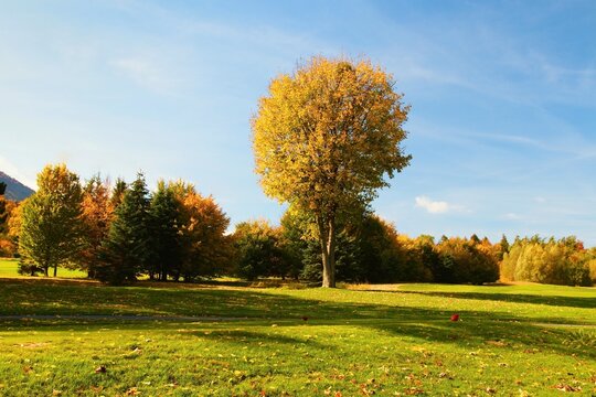 Autumn on the golf course in Celadna in Moravia in the Czech Republic.