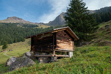 Wooden Mountain Hut and Swiss Alps, Grindelwald, Switzerland