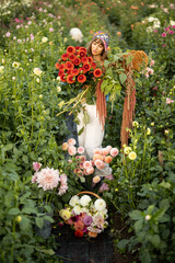 Portrait of a woman with lots of freshly picked up colorful dahlias and lush amaranth flower on...