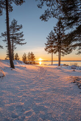 Panoramic sunset through the horizon. Winter wonderland scenery in scenic golden evening light at sunset