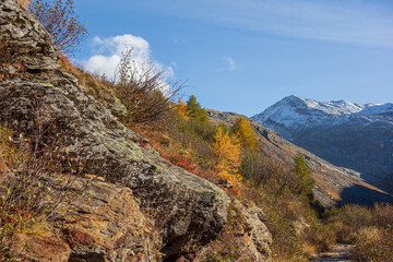 Herbst in den schweizer Bergen