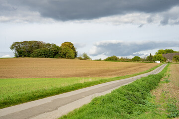Herbst Felder in Essen Kettwig