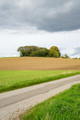 Herbst Felder in Essen Kettwig