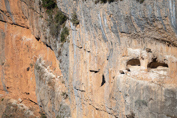 rocky outcrops and caves that are home to Spanish Griffon vultures, Eurasion griffons (Gyps fulvus) in summer sunshine