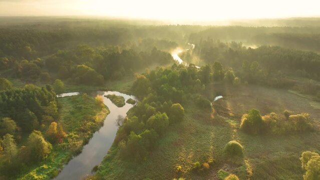 Foggy autumn morning over the river - aerial view	