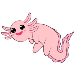 Axolotl