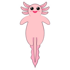 Axolotl