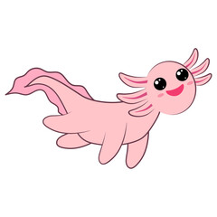Axolotl