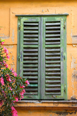 Fototapeta na wymiar Green rustic Mediterranean window and pink oleander flowers in Split, Croatia. Selective focus.