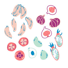 Set of whole and cut tropical fruits stylized in flat style. Banana, fig, mangosteen, avocado