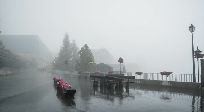 A box of flowers by the cable car in the fog At the Alps. Mix of flowers and colors. General contest of the European Alps - Powered by Adobe