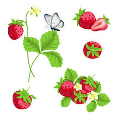 Set of ripe strawberries and summer berry pieces.Cartoon vector graphics.