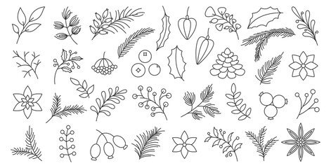 Winter autumn berry christmas tree spruce branch leaf hand drawn black line set. Poinsettia fir pine cone star anise wild rose viburnum festive garden plant flower decor card invitation sticker print