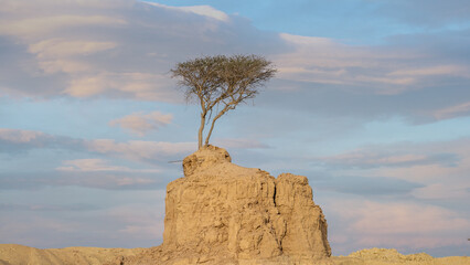 Limestone rock formations at the Umm Bab, Qatar.