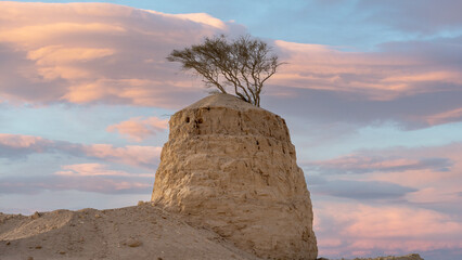 Limestone rock formations at the Umm Bab, Qatar.