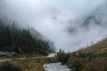 Mysterious photography of cloudy trees in the swiss alps