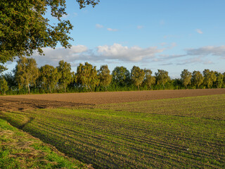 Fototapeta premium Spätsommer im westlichen Münsterland