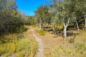 Chumash Park, Pismo Beach, San Luis Obispo County