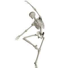 skeleton posing 3d render illustration