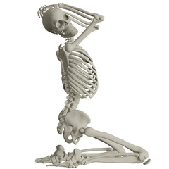 skeleton posing 3d render illustration