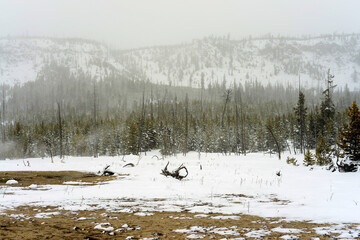 Winter Snowing Geothermal Pool Yellowstone