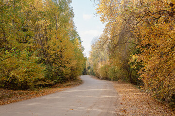 Fototapeta na wymiar Rural road with surrounding forest in Kangari in October in Latvia