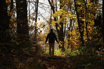 Young man silhouette in autumn forest. Pavel Kubarkov, i in autumn forest. Photo was taken 9 October 2022 year, MSK time in Russia. - 537621719