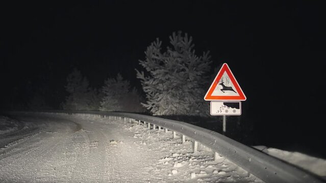 Warning sign for danger of slippery snowfall road and animal danger on road, winter scene at night
